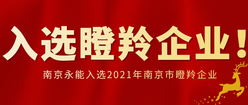 热烈祝贺我公司成功入选南京市“瞪羚企业”名单！